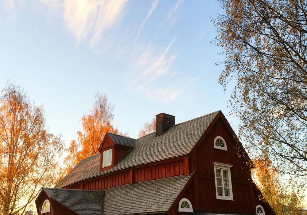 pexels-pixabay-210538